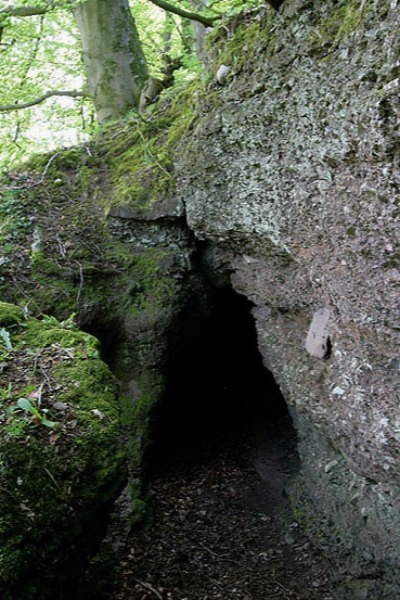 Winging It: A Man's Journey as a Dragon