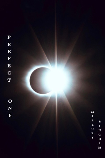 Perfect One