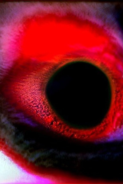 Reverse Portal