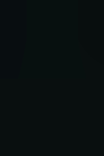 The Endless Wish Enigma