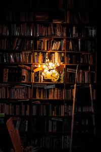 The Secluded Magus