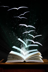 The Name Archives