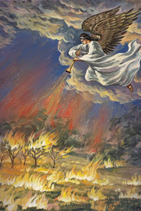 The Disaster Battle