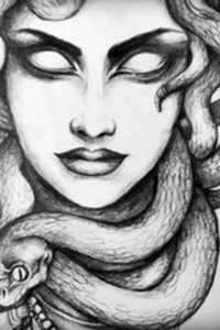 My Medusa System