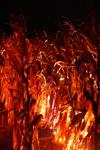 Autumn's Red Blade