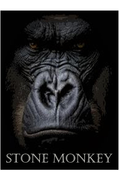 Stone Monkey