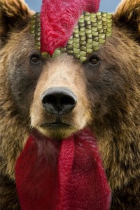 I was reborn as a Cursed Swordman ?! [HIATUS]