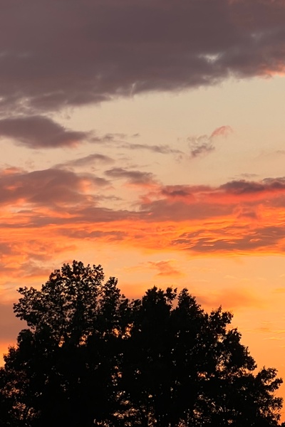 The Sunset Tower