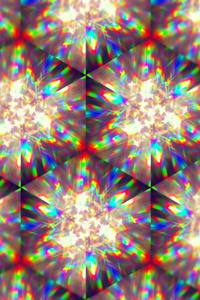 The Fractal Diaries